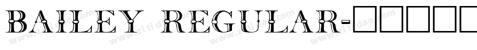Bailey Regular字体转换